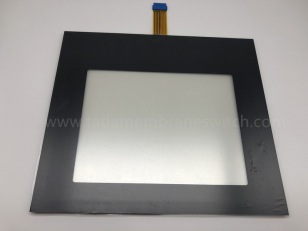 Membrane switch with touch screen